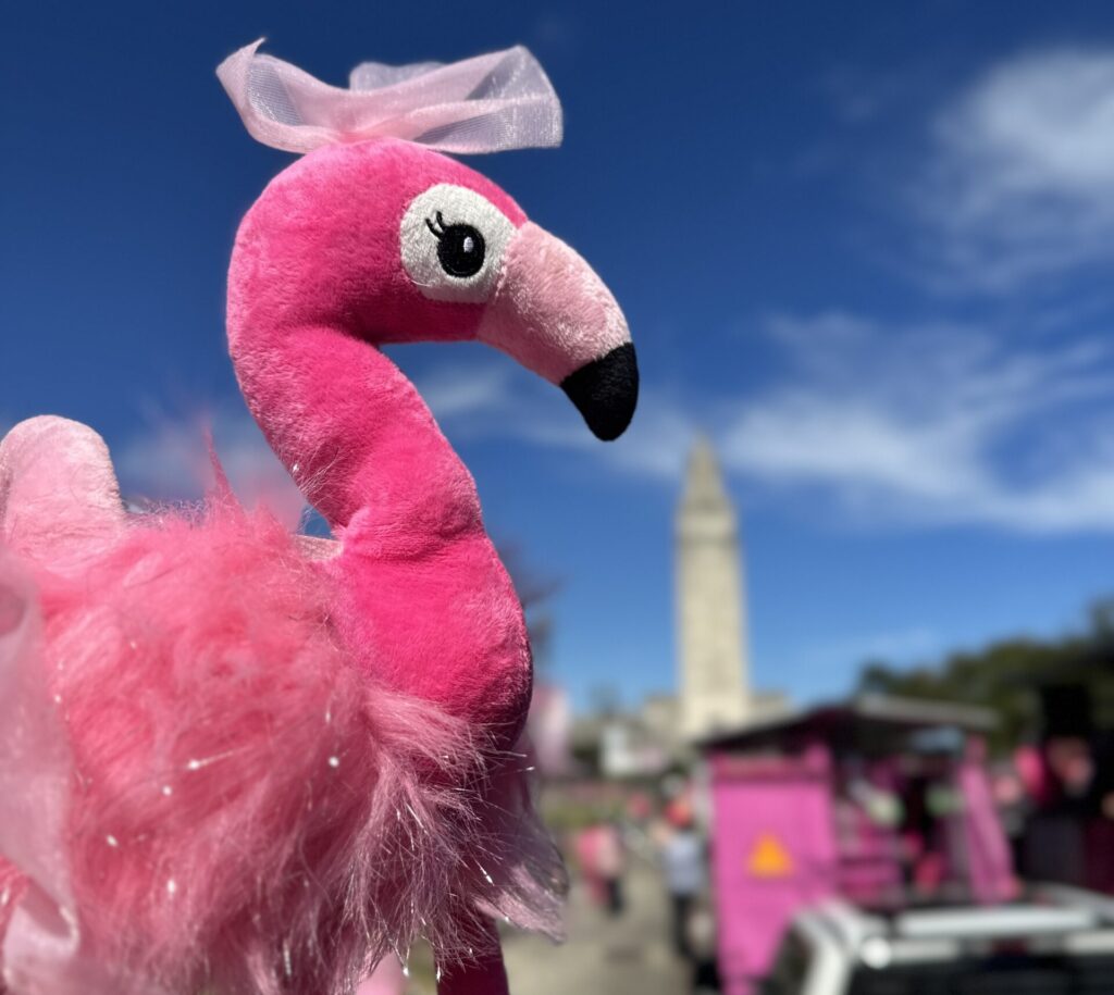 Louisiana Gun Laws Mardi Gras Parades Baton Rouge The Sadvocate