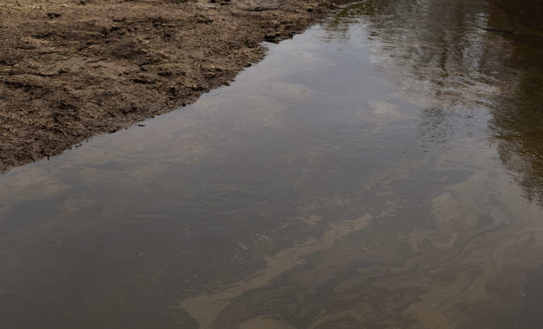 Tanigipahoa River Oil Spill Smittys Chemical Fire Hammond The Sadvocate