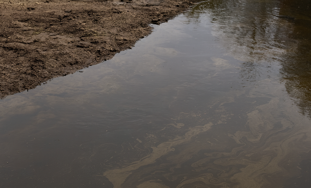 Tanigipahoa River Oil Spill Smittys Chemical Fire Hammond The Sadvocate