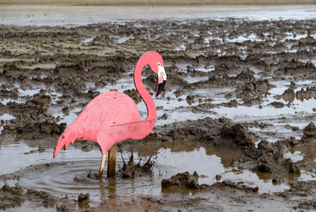 Flamingos LSU Lakes Spanish Town Mardi Gras Baton Rouge