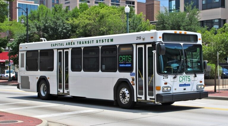 Baton Rouge Cats BUS Theft Indictments Baton Rouge The Sadvocate