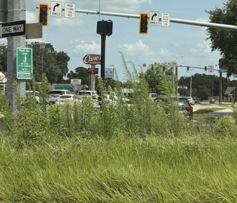 Baton Rouge Unveils Historic Grass Preservation Initiative After Running Out Of Mowing Money
