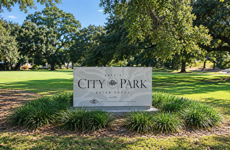 BREC Spends $640,000 To Determine City Park Needs More Grass And Parking